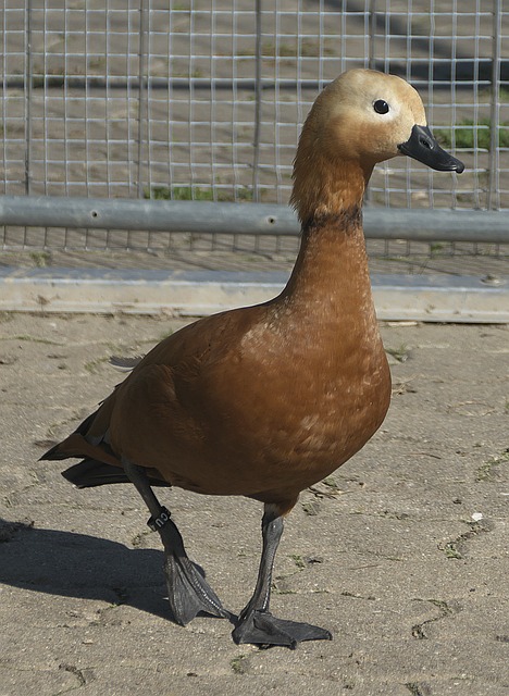 任何一场比