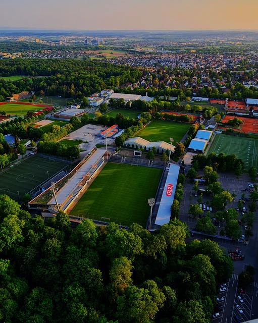 在联盟排名 在联盟排名