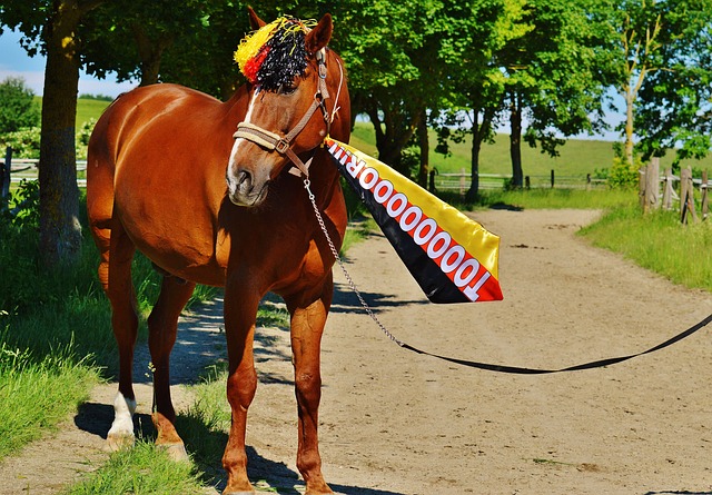 期待的增長 期待的增長