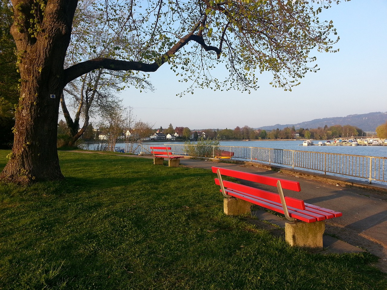 不再敢于挑 不再敢于挑