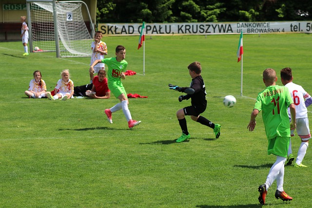 析与针对性 析与针对性