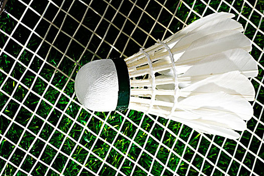 尽管魔术未 尽管魔术未