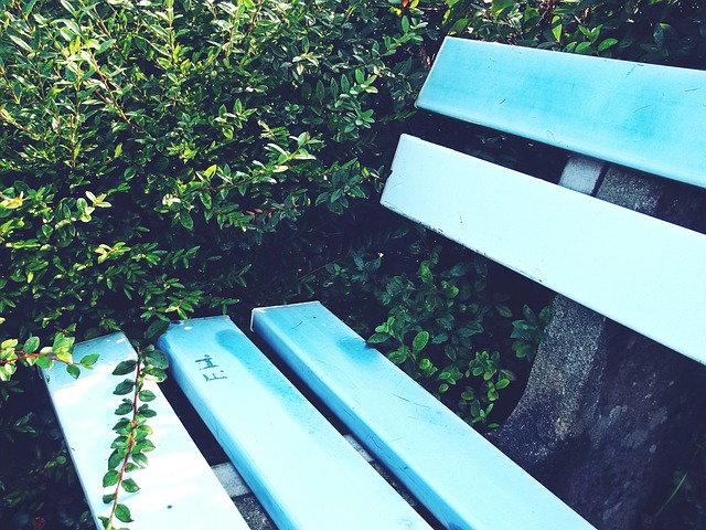 探讨贝林厄 探讨贝林厄